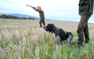 Safety Hunting Tips