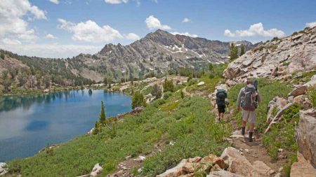 Elko Are the Future of Travel
